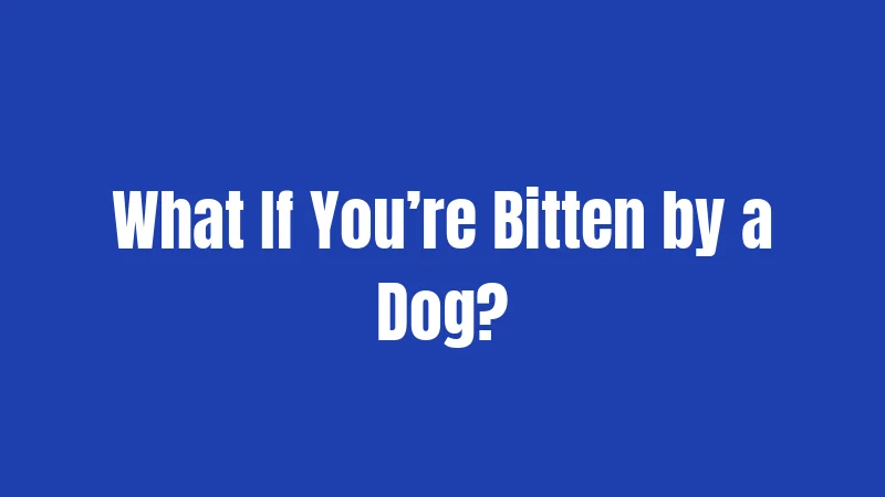 What If You’re Bitten by a Dog?