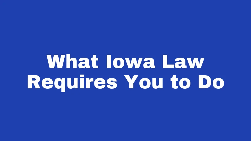 Hit and Run Laws in Iowa (2026): Don't Drive Away From This 1 What Iowa Law Requires You to Do