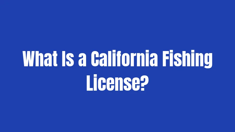 What Is a California Fishing License?