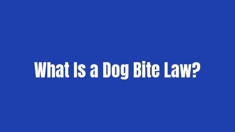 What Is a Dog Bite Law?