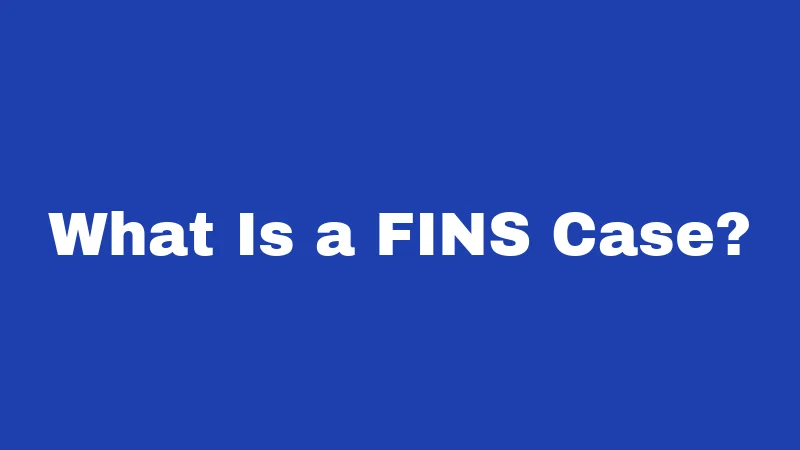 Juvenile Laws in Louisiana (2026): Young Offenders, Real Consequences 4 What Is a FINS Case?