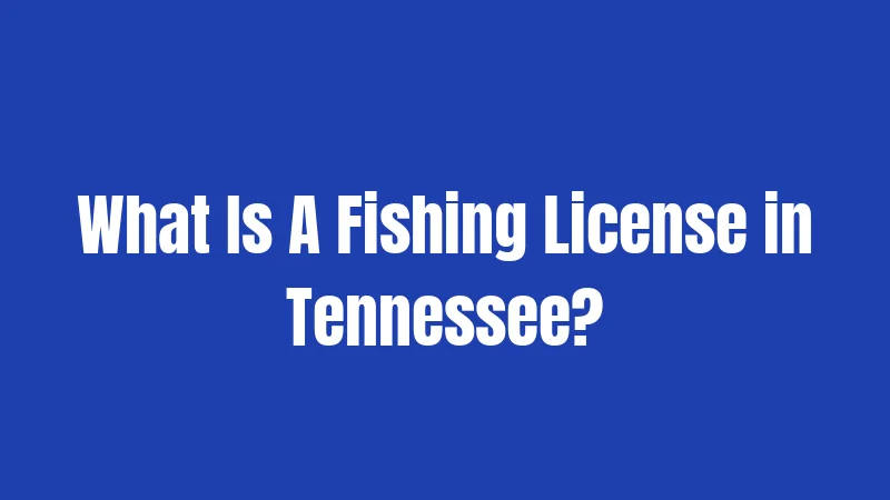 What Is A Fishing License in Tennessee?