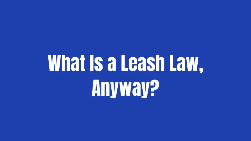 What Is a Leash Law, Anyway?