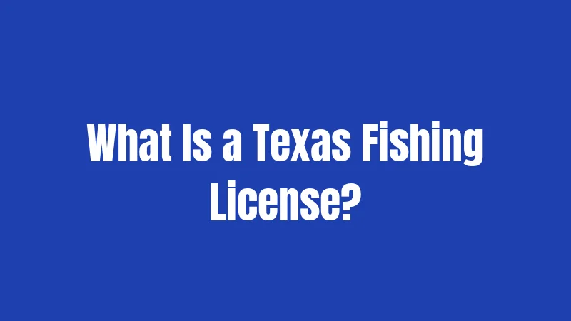 Texas Fishing Laws in 2026: Everything You Need to Reel In Legally 1 What Is a Texas Fishing License?