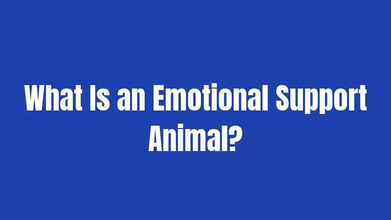What Is an Emotional Support Animal?