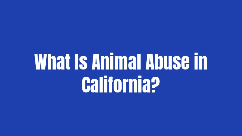 What Is Animal Abuse in California?