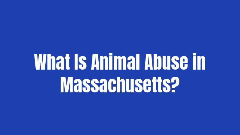 What Is Animal Abuse in Massachusetts?