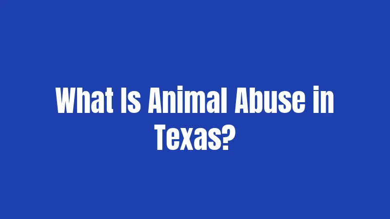 Animal Abuse Laws in Texas (2026): Penalties That Actually Hurt 1 What Is Animal Abuse in Texas?