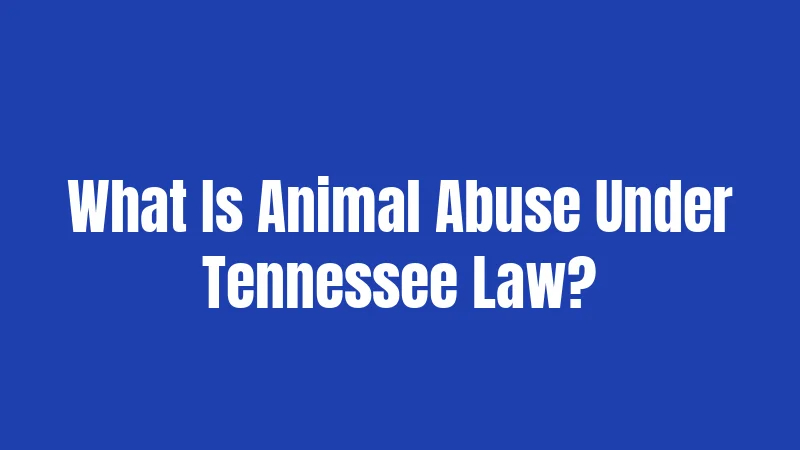 What Is Animal Abuse Under Tennessee Law?
