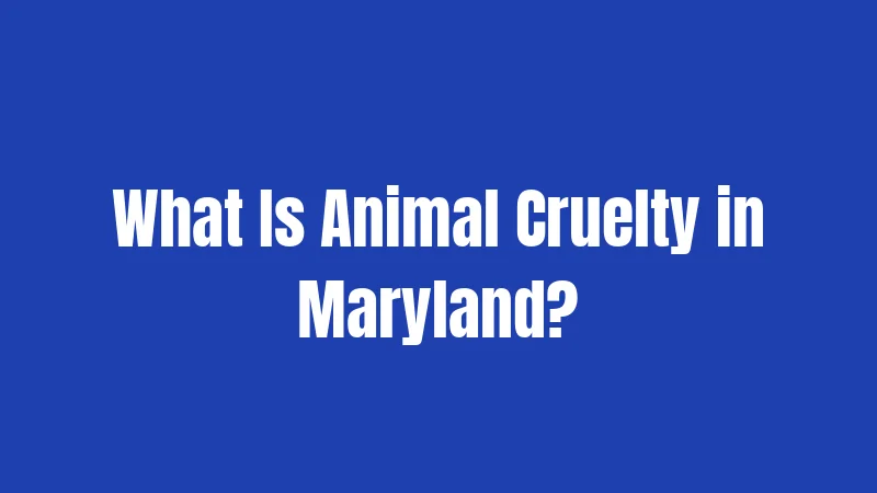 What Is Animal Cruelty in Maryland?