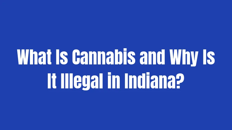 Cannabis Laws in Indiana (2026): Still Totally Illegal 1 What Is Cannabis and Why Is It Illegal in Indiana?