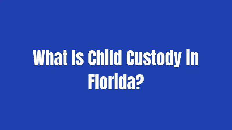 What Is Child Custody in Florida?