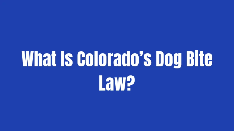 What Is Colorado’s Dog Bite Law?