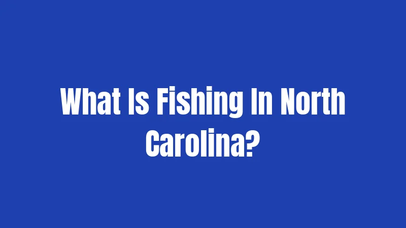 What Is Fishing In North Carolina?