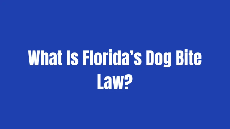What Is Florida’s Dog Bite Law?