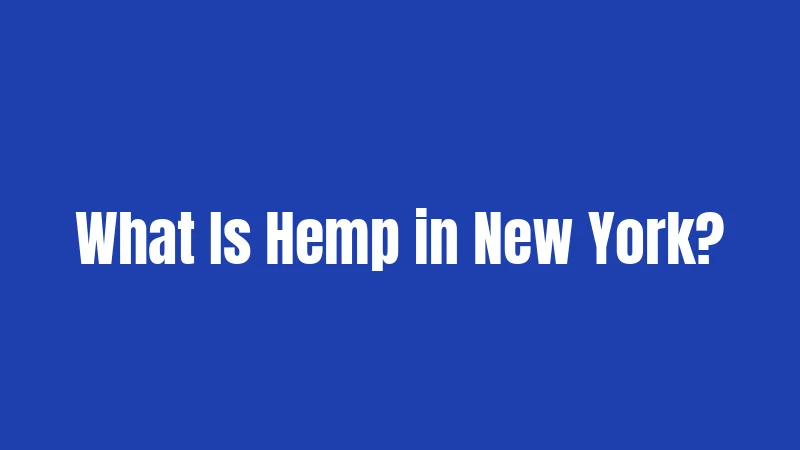 What Is Hemp in New York?