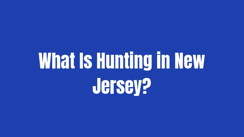 New Jersey Hunting Laws in 2026: Your Complete Garden State Guide 1 What Is Hunting in New Jersey?