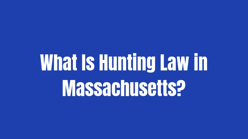 What Is Hunting Law in Massachusetts?