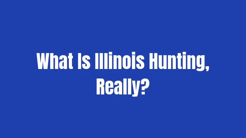 What Is Illinois Hunting, Really?