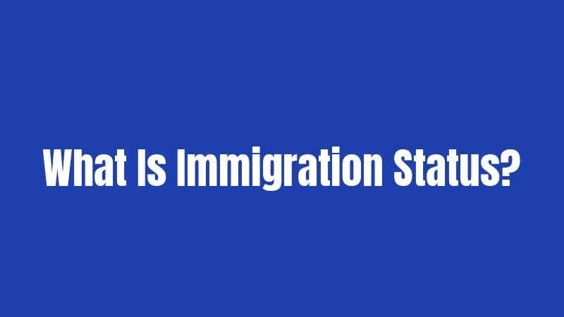 Immigration Laws in Michigan (2026): What You Actually Need to Know 1 What Is Immigration Status?