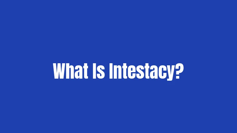 What Is Intestacy?