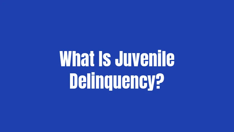 What Is Juvenile Delinquency?