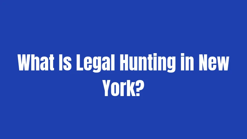 New York Hunting Laws in 2026: The Complete Seasonal Guide 1 What Is Legal Hunting in New York?