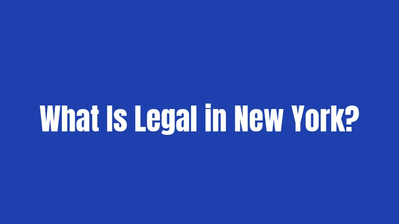 Abortion Laws in New York (2026): Your Rights Are Now in the Constitution 1 What Is Legal in New York?