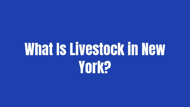 What Is Livestock in New York?