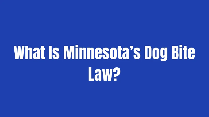 What Is Minnesota’s Dog Bite Law?