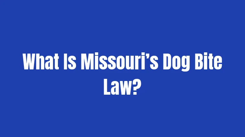 What Is Missouri’s Dog Bite Law?