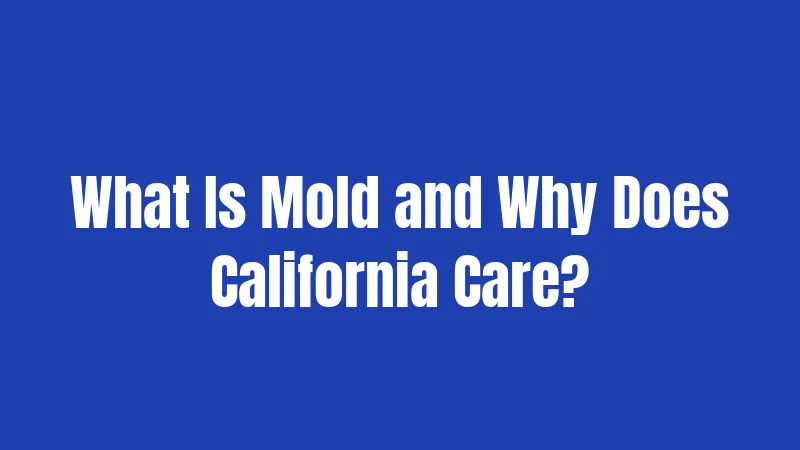 What Is Mold and Why Does California Care?