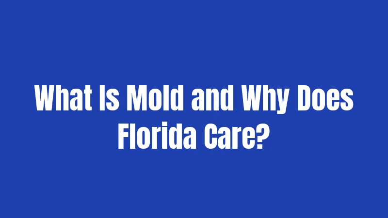 Florida Mold Laws (2026): Your Legal Responsibilities Explained 1 What Is Mold and Why Does Florida Care?
