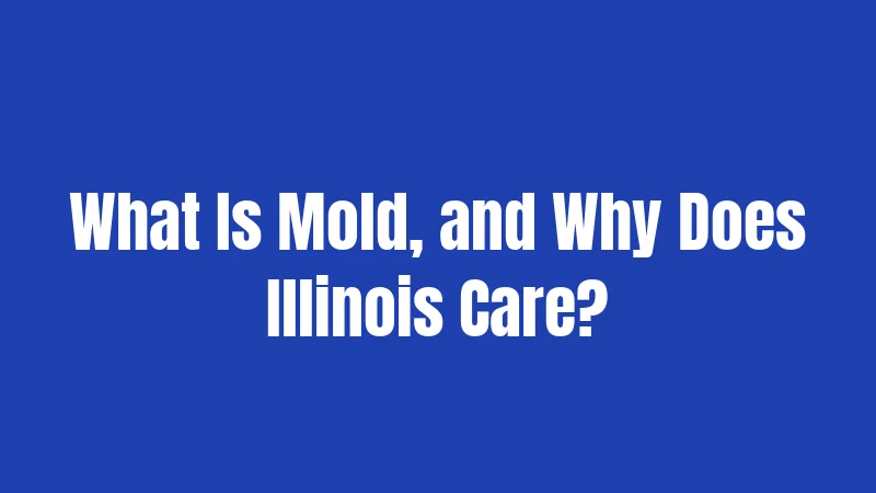 Mold Laws in Illinois (2026): What Landlords and Tenants Need to Know 1 What Is Mold, and Why Does Illinois Care?