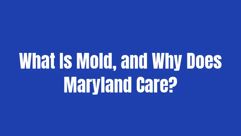 What Is Mold, and Why Does Maryland Care?