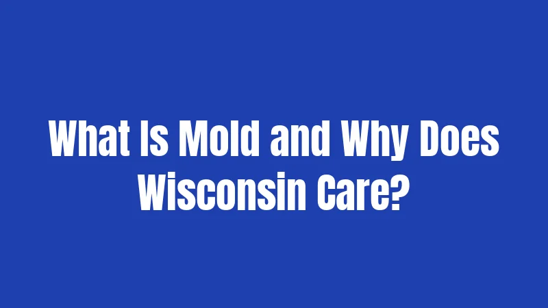 What Is Mold and Why Does Wisconsin Care?