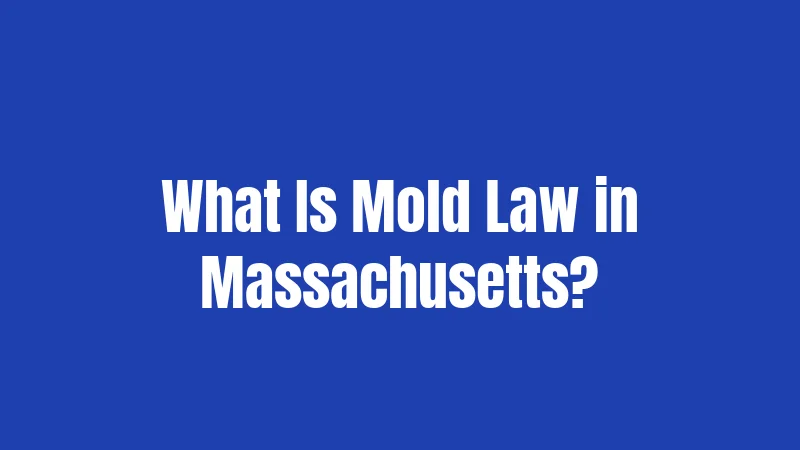 What Is Mold Law in Massachusetts?