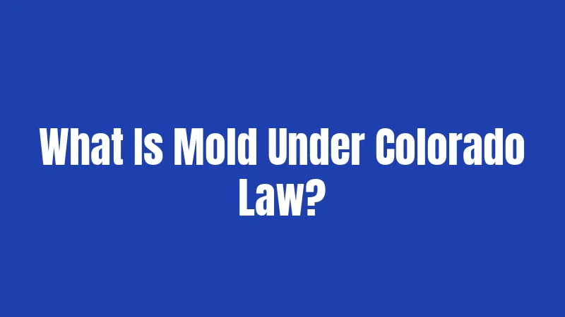 What Is Mold Under Colorado Law?