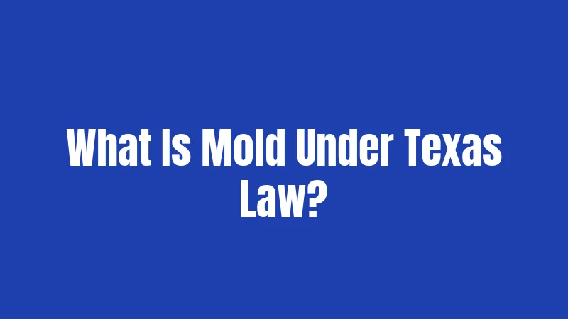 Mold Laws in Texas 2026: New Changes! 1 What Is Mold Under Texas Law?