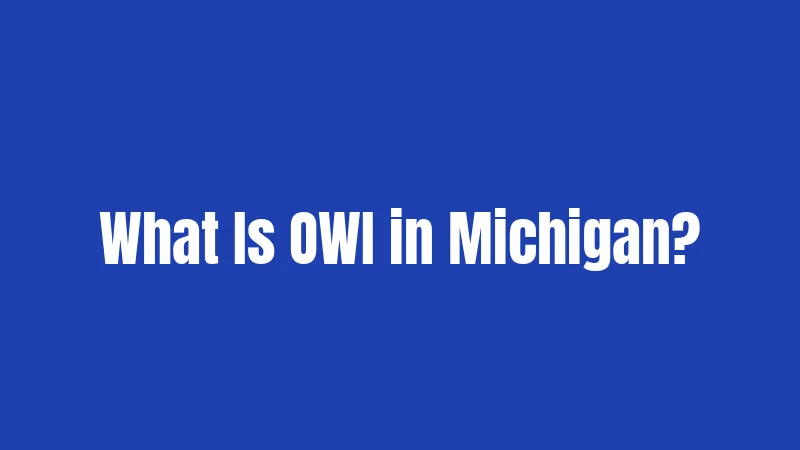 What Is OWI in Michigan?