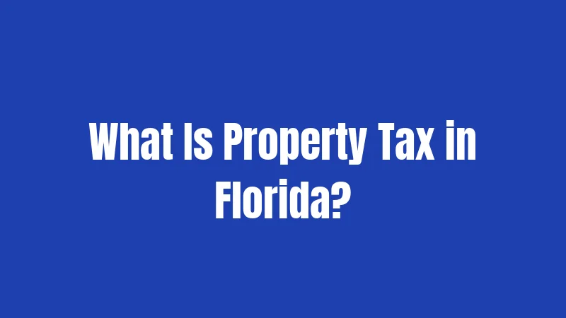 What Is Property Tax in Florida?