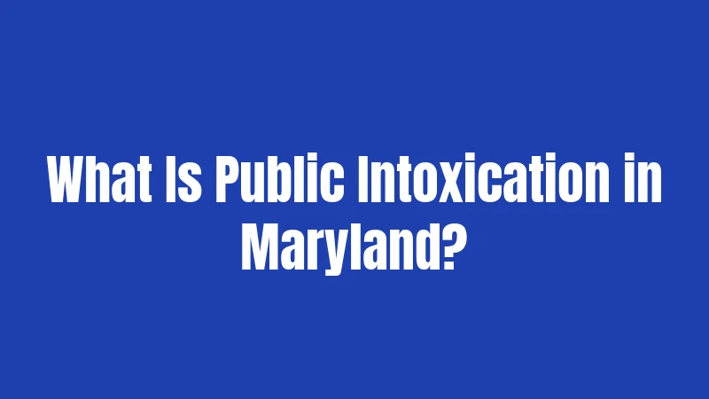 Public Intoxication Laws in Maryland (2026): Your Rights on the Line 1 What Is Public Intoxication in Maryland?