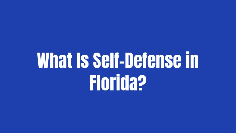 What Is Self-Defense in Florida?