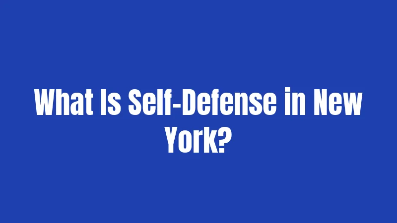 New York Self-Defense Laws (2026): What You Really Need to Know 1 What Is Self-Defense in New York?