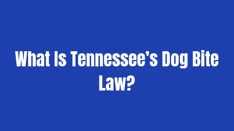 Dog Bite Laws in Tennessee (2026): Rules That Might Surprise You 1 What Is Tennessee’s Dog Bite Law?