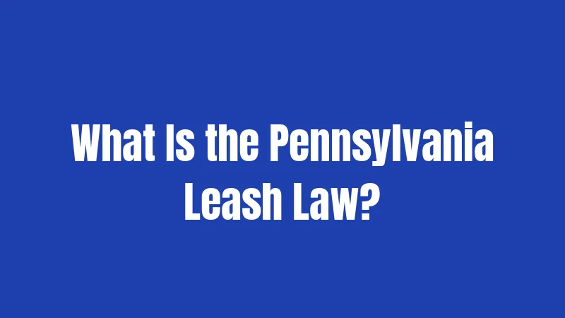 Pennsylvania Leash Laws in 2026: Control Your Dog at All Times 1 What Is the Pennsylvania Leash Law?