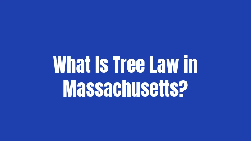 What Is Tree Law in Massachusetts?