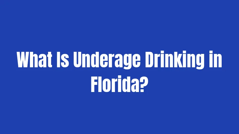 Minor Drinking Laws in Florida (2026): What You Need to Know 1 What Is Underage Drinking in Florida?