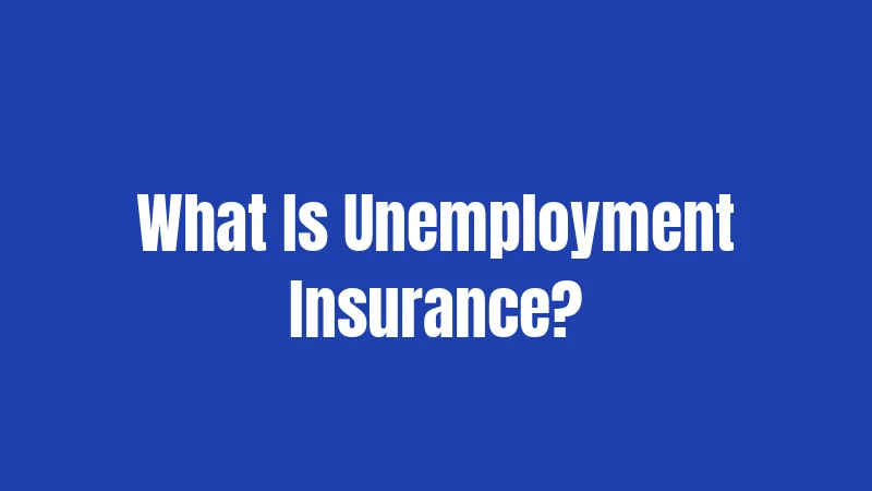 What Is Unemployment Insurance?