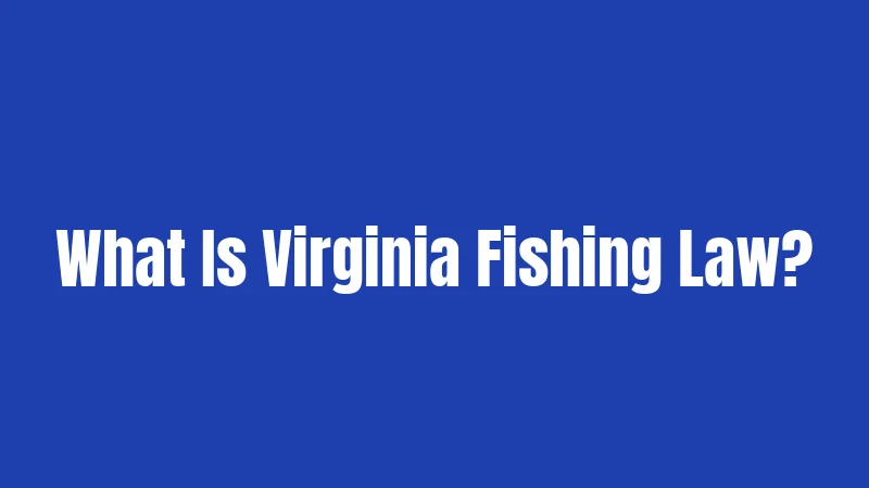 What Is Virginia Fishing Law?